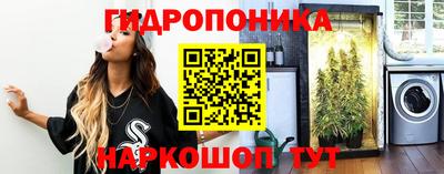 2c-b Шелехов