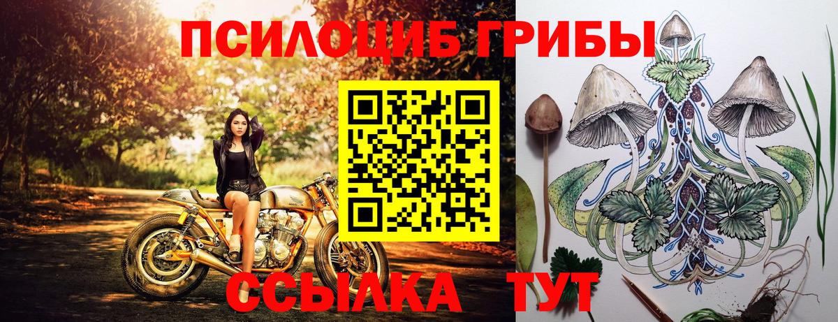 Галлюциногенные грибы Cubensis  Вход с VPN  Боровичи 